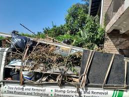 Best Estate Cleanout  in Citronelle, AL